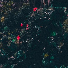 Reddit - Continentals