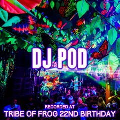 DJ Pod - Recorded at TRiBE of FRoG 22nd Birthday