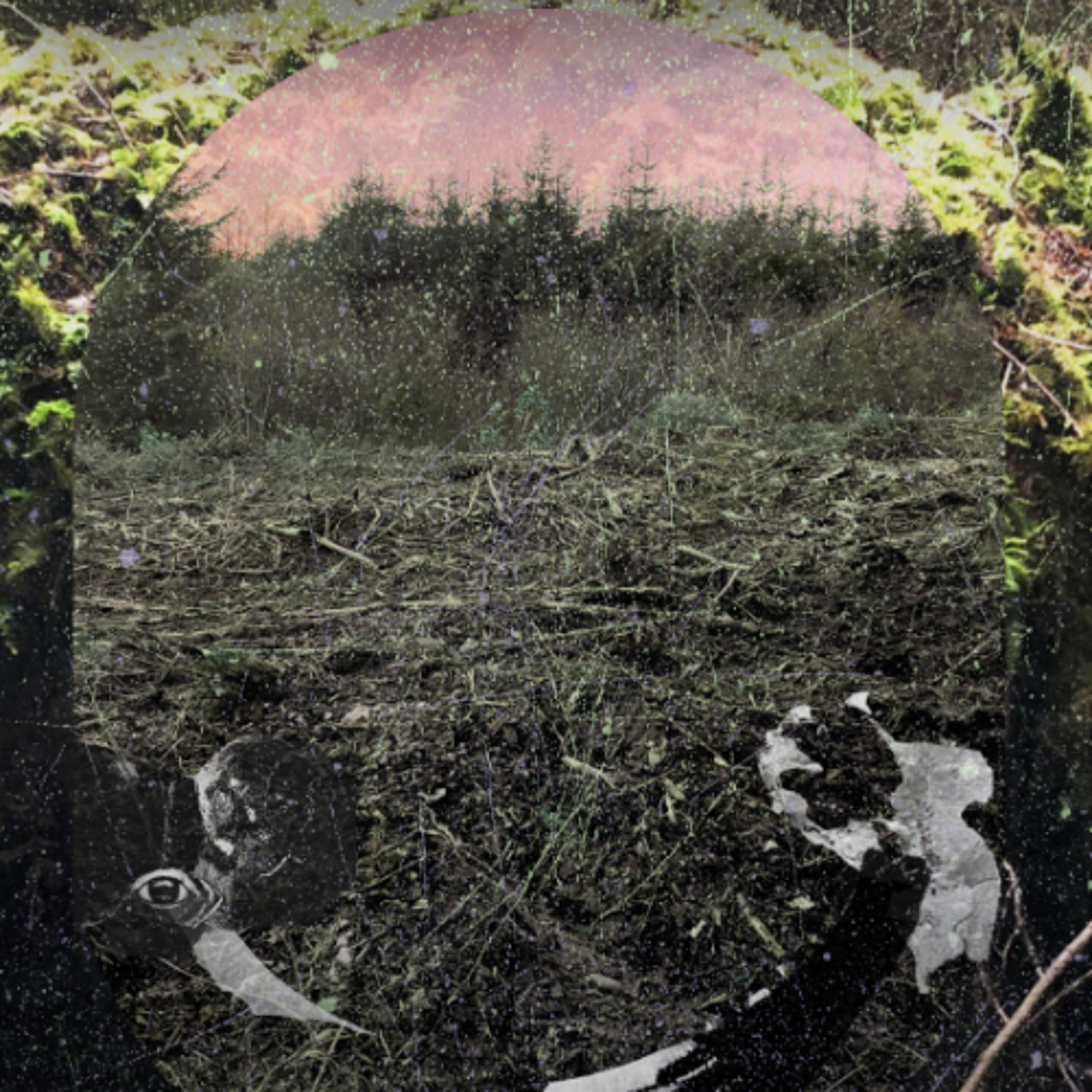 (UN)EARTHED: Through Air, Tied To Each Other MFA Graduate Exhibition