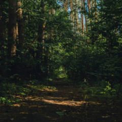 viridescent - string orchestra