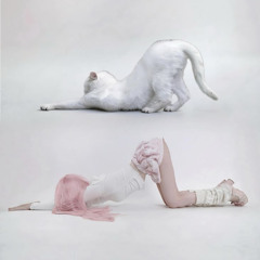 give me u ass (Feat.TRUeMEE66)