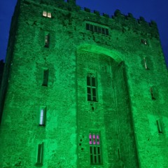 Zecher - Eat My Brain