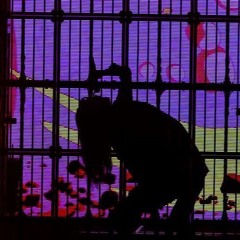 Ado| Backlight [Wish]