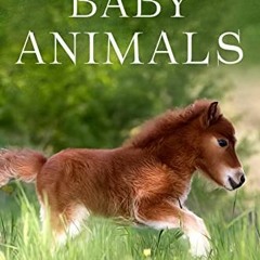 ( Cd7Wk ) The Picture Book of Baby Animals: A Gift Book for Alzheimer's Patients and Seniors with De