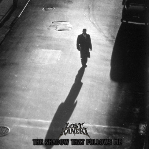 THE SHADOW THAT FOLLOWS ME