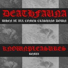Deathfauna "When It All Comes Crashing Down" KNOWNPLEASURES REMIX (INSTRUMENTAL)