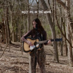 Meet Me in the Woods (lord huron cover)