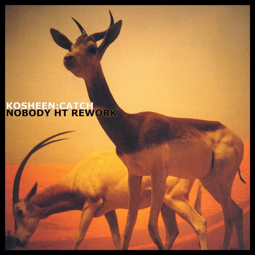 Kosheen - Catch (Nobody Schranz/Hard Techno Rework) *FREE DL*