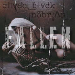 Citvdel Blvck X In3briant - FALLEN