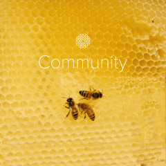 Episode 4.28 | Community