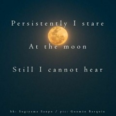But There Is Something ( Naviarhaiku 343 )