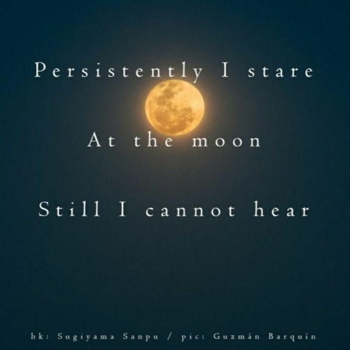 But There Is Something ( Naviarhaiku 343 )