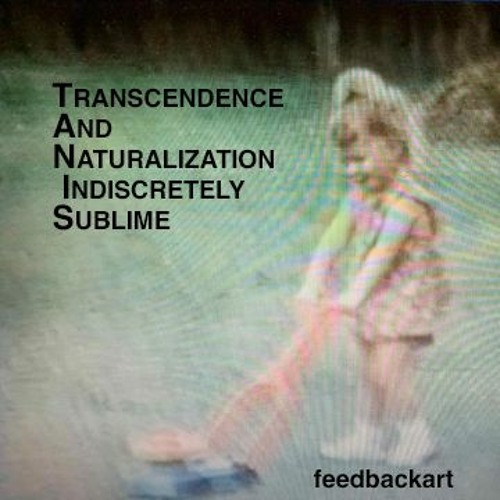 TRANSCENDENCE AND NATURALIZATION INDISCRETELY SUBLIME