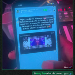 mollie (prod endevour x carmicheal)