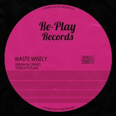 waste wisely - Dream In Cannes (Original Mix)