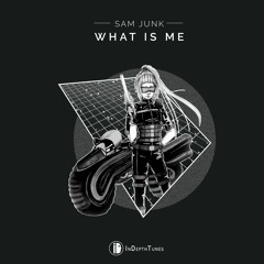 PREMIERE: Sam Junk - What Is Me (Original Version) [In Depth Tunes]