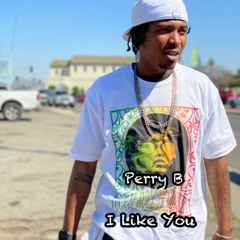 I Like You By Perry B