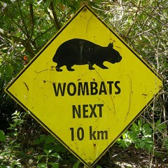 Wombat
