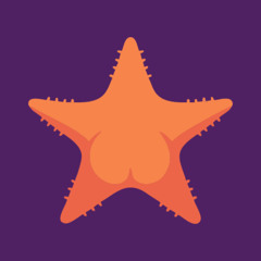 Fauna Marina - Conicet AR_OST(acuatic music)