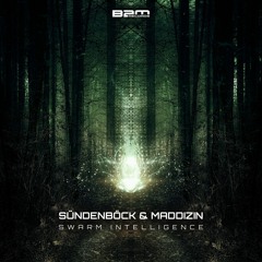Suendenboeck & Maddizin - S&M-- SWARM INTELIGENCE