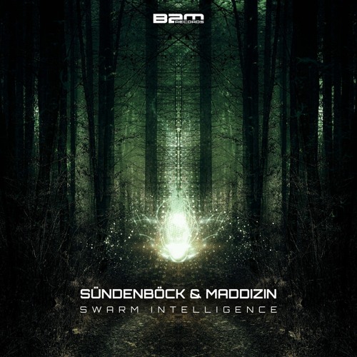 Suendenboeck & Maddizin - S&M-- SWARM INTELIGENCE