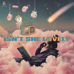 Strummit - Isn't She Lovely (Electric Guitar Cover)