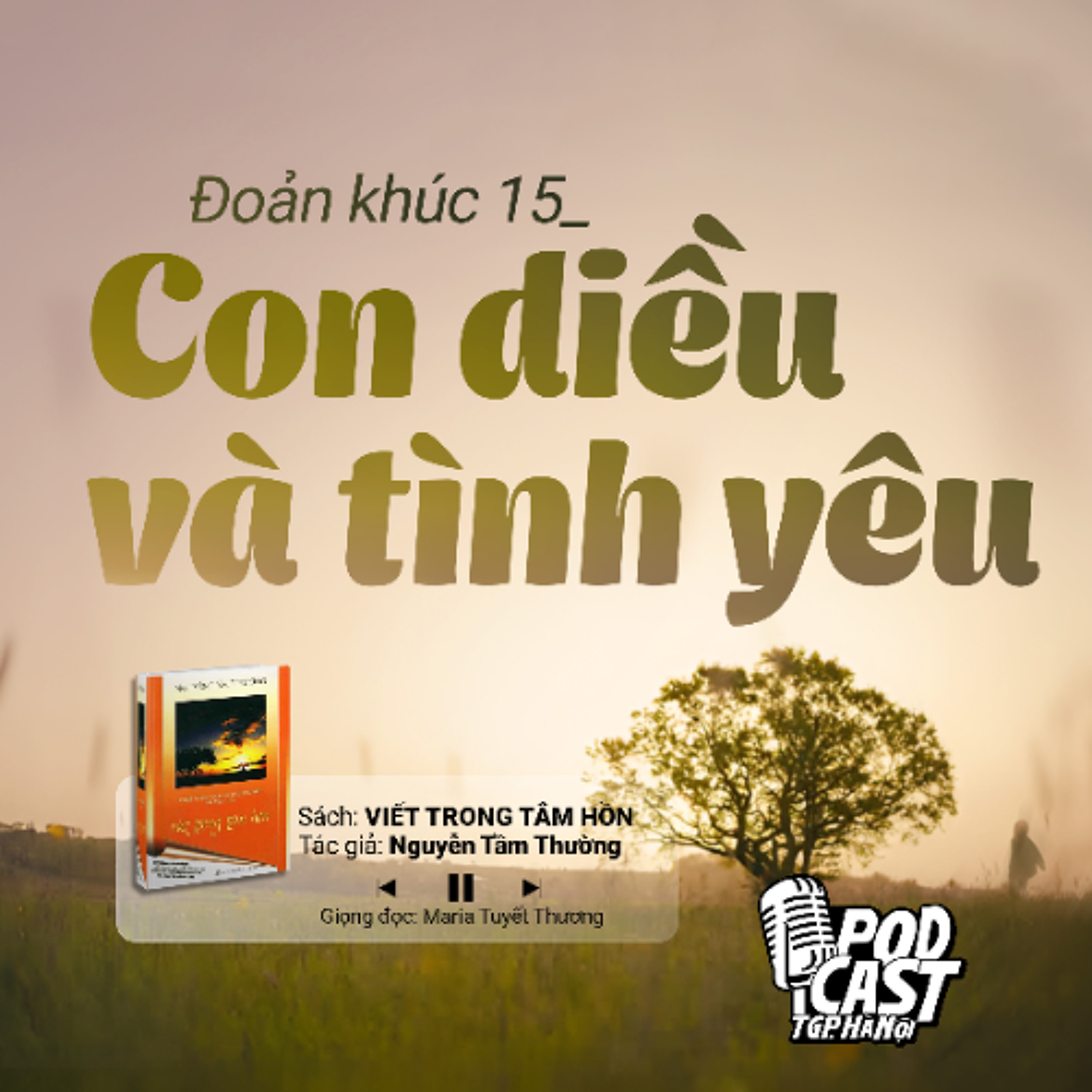 ĐK15: Con diều và tình yêu (Tg. Nguyễn Tầm Thường) || Viết trong tâm hồn
