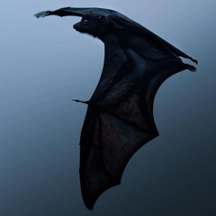 Create this legacy (boysinvain)