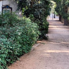 טי אנ אס צלקות מפלסטלינה נכתב ב 1996