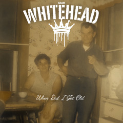 Adam Whitehead- When Did I Get Old