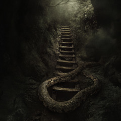 snakes n ladders