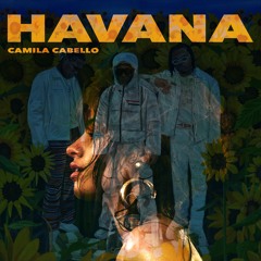 Internet Money x Camila Cabello x Young Thug - His & Hers x Havana (Wallace Mays TikTok Mashup)