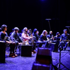 Insub Meta Orchestra & Skogen