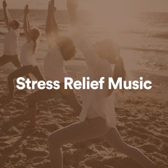 Stress Relief Music, Pt. 18