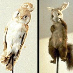 음악에 너무 몰입하지 마세요