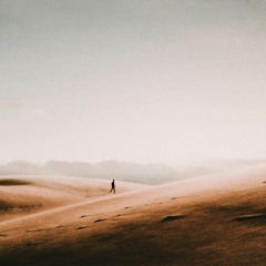 Grégoire Jokic - Wind Rose