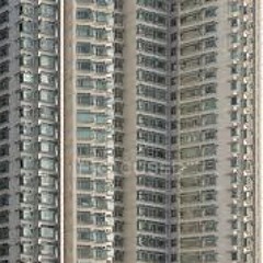 Compagni dai campi e dalle colline! "It's survival in the city when you live from day by day"