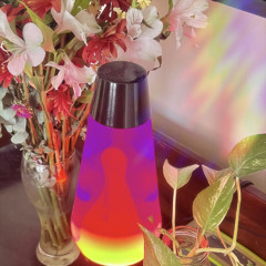 Signaling Cyclists Live