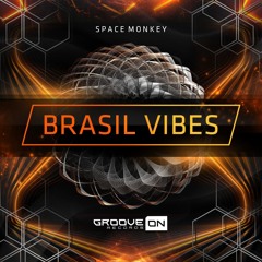 Space Monkey - Brasil Vibes (Original Mix)