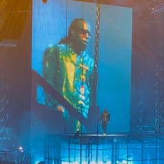 don unreleased