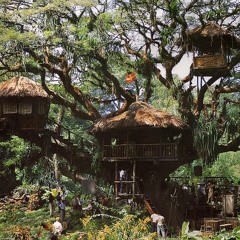treehouse prod train
