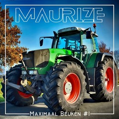 Maximaal Beuken #1 | Maurize