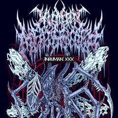 DEGRADATION OF THE ROTTING FLESH OF CORPSES (INSTRUMENTAL)
