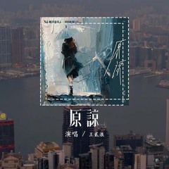 王贰浪 - 原谅 (原唱：张玉华)「原谅把你带走的雨天，在突然醒来的黑夜 发现我终于没有再流泪」(4k Video)【動態歌詞/pīn yīn gē cí】#王贰浪 #原谅 #张玉华 #動態歌詞