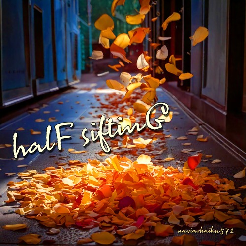 halF siftinG [naviarhaiku571]