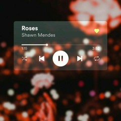 Shawn Mendes - Roses slowed