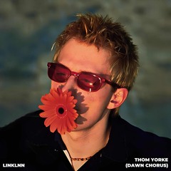 Thom Yorke - Dawn Chorus (linklnn remix)