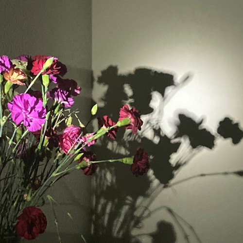 Stream the w rizz song - original by angelicamarie | Listen online for ...