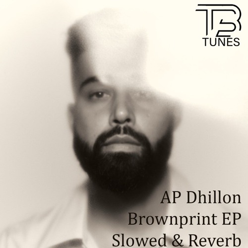 Brownprint  Slowed & Reverb