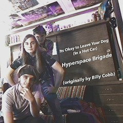 Its Okay To Leave Your Dog In A Hot Car (Billy Cobb Cover)